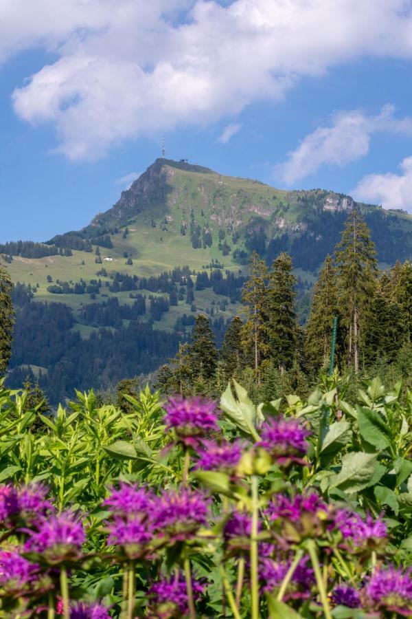Landhaus Barbara Kitzbühel Zewnętrze zdjęcie